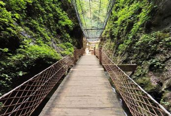 金丝峡/中国商洛+牛背脊森林公园+地陪翻译/包车O【全程中文/英文/小语种服务，沟通无障碍，景点可调】