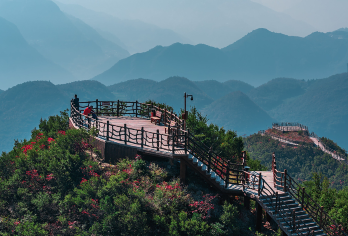 商洛包车地陪导游翻译地接陪同接送旅游展会商务考察陪诊【商洛包车地陪导游翻译地接陪同接送旅游展会商务考察陪诊】