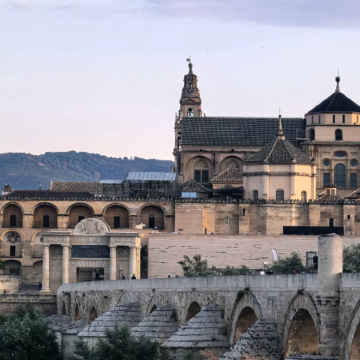 爱尔兰+威克洛山国家公园一日游（包车一日游 中文司机）