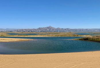 银川出发+拉僧庙+乌海湖远观甘德尔山一日游【乌海藏着一座“小布达拉宫”！金顶耀目的藏传佛教圣地，传承300年“医经双修”智慧。】