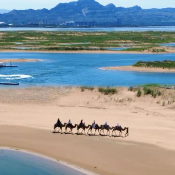 【包车游】乌海湖+拉僧庙+远观甘德尔山·乌海一日游