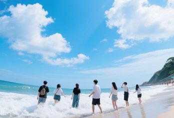 大连环市一日活动[看海、踏浪、帆船出海喂海鸥]【全程无购物、无自费、无擦边，高品团上门接送、让您旅途舒心，回归旅游本质！】