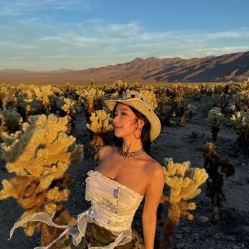 美国凤凰城、约书亚树国家公园-救赎山12h包车【精选老司机】