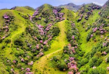 阳江玉豚山+珍珠湾+飞鹅岭+大澳渔村包车一日游-可英文服务【可提供英文及小语种导游服务-往返接送-可选导游-可代订门票】