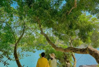 崇左+德天瀑布+明仕田园一日游【1单1团独立用车 】【崇左市区内免费上门接送 出行无忧 专业司机向导 服务更用心】