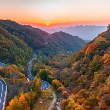 6人团-汉中油菜花-米仓山一日-【含门票+香炉山往返索】