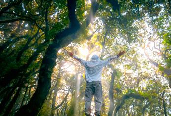 云南腾冲高黎贡山13公里徒步(登顶+毛毛树森林)【景观多元：涵盖草甸、杜鹃林、竹林、山脊线、古树群、草果林等多样地貌，从低海拔到高海拔景观层次丰富】