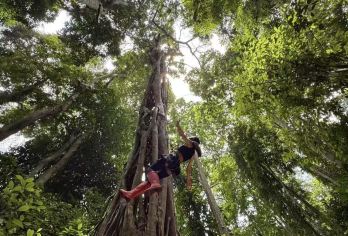 【含雨林餐含向导】基诺山雨林徒步一日游丨2-8人团丨上门接送【[专业团队]可选6人小团，2人起订，可选出行方式，自由随心，当地向导带队游玩。】