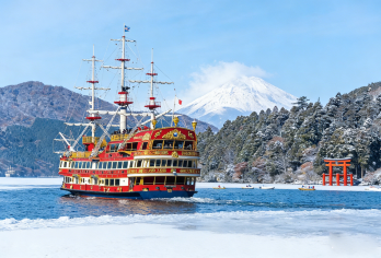 东京/新宿出发：箱根&江之岛网红打卡丨送海贼船 &大涌谷缆车【常规大团，中英双语导游，中文与英文客人同车。】