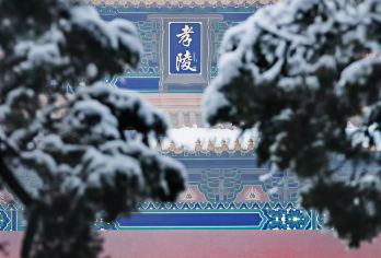 南京明孝陵2小时大咖人工讲解丨私家团【精致私享包团，时间自由，行程独立，私家体验！】