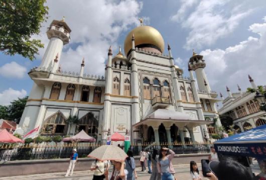【新加坡深度一日游】新加坡植物园+甘榜格南+滨海湾+圣淘沙岛【包车成团，畅游赤道明珠，体验魅力南洋】