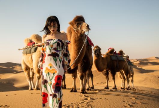 呼和浩特+库布其沙漠一日游【赠沙漠套票】【[轻松出行]全程不进购物店 真纯玩无购物！】