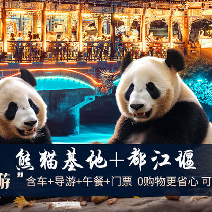 都江堰景区+成都大熊猫繁育研究基地一日游