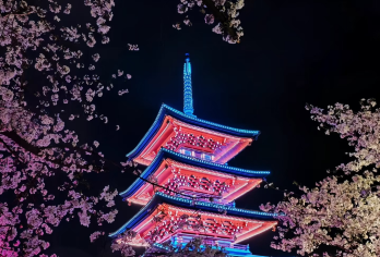 武汉大学+东湖景区一日游【私家团丨含入园预约丨文化讲解】【[打卡樱花名校；游览樱花胜地。两大赏樱地给您不同的体验]】