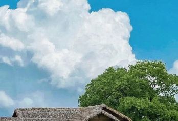 杭州良渚一日游【良渚古城遗址公园门票+观光车票+良渚博物院】【[持证讲解]我们专注于深入挖掘历史文化，致力于为游客提供卓越的旅游服务体验】