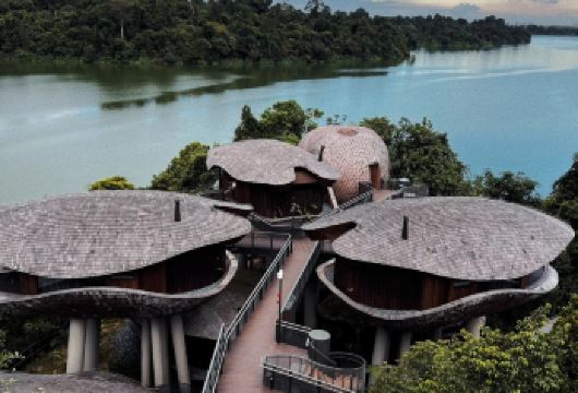 新加坡市区包车一日游-打卡各种网红景点-可多日包车【包车一日游，解锁旅行新方式！独立车辆配备经验丰富的老司机，为您量身打造专属行程。】