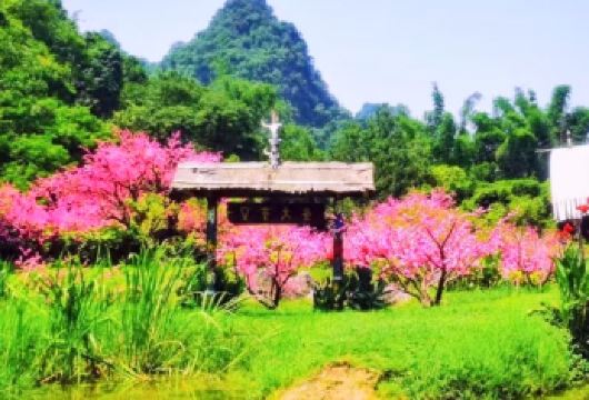 桂林如意峰+世外桃源一日游（私家团）【桂林山水、世外桃源、阳朔奇秀揽胜处 、峰林如画，索道揽尽风光 、绝壁凌空，如意仙境天】