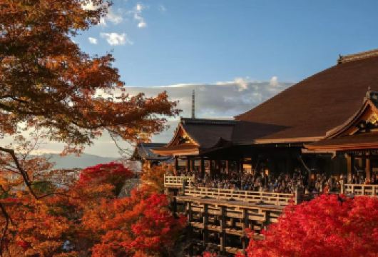 日本京都金阁寺+八坂神社+二三年坂【中文司机/定制包车游】【尊享一对一高端行程定制，豪华包车专属礼遇，专业旅行顾问24小时恭候垂询。】