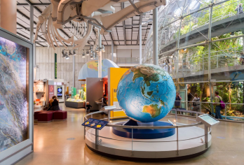 旧金山一日游：双峰+加州科学院+金门大桥+科伊特塔【360°城市全景+著名科学馆+地标大桥+历史高塔观景，涵盖自然、科技与历史，行程紧凑且顺路。】