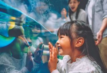 香港海洋公园一日游（含门票+去程交通+熊猫馆参观）可选美食券【香港海洋公园是一座集海陆动物展览、机动游戏、大型表演的主题公园（含标准门票）】