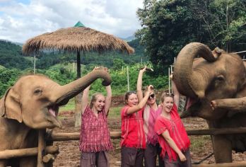 清迈大象自然保护园+粘粘瀑布一日游（中文司机包车服务）【和大象近距离接触，感受原始瀑布的惊险刺激】