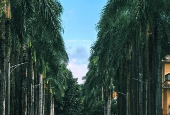 云南芒市勐焕大金塔+勐巴娜西珍奇园+傣族古镇一日游中英文服务【金塔银塔映日月，珍奇园聚宝探秘，傣镇霓裳舞翩跹，仙佛洞中别有天。】