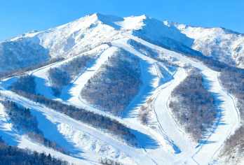 亚布力西站接送私家团｜马拉爬犁·滑雪·雪山观景【亚布力西站专车接送往返，全程私家团不拼车，可选英/日/韩/俄语向导，外宾出行更省心。】
