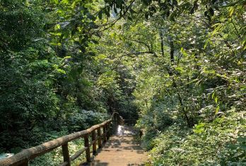 湖南郴州博物馆+北湖公园+苏仙岭+长卷+王仙岭一日游英文服务【可提供英文及小语种导游服务-往返接送-可选导游-可代订门票】