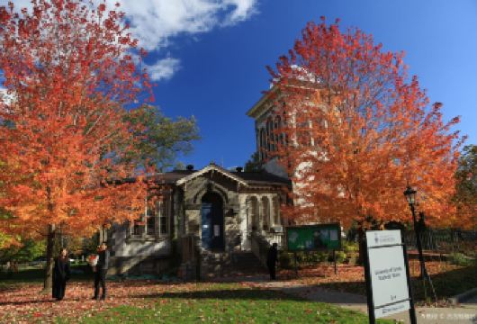 加拿大多伦多出发：安大略湖 +多伦多大学+多伦多群岛一日游【省时省心+行程灵活+VIP包车一站式服务+中文司导】