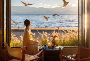 大理环海包车一日游 + 南诏风情岛门票私享包车 · 随走随停【360°环洱海全景体验-专业司机带队自由停靠网红打卡点 理想邦“圣托里尼”双廊观景台远眺小普陀喂海鸥】