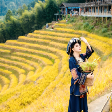 【高品质|拼团/包团】桂林龙脊梯田-黄洛寨+平安寨+金坑梯田