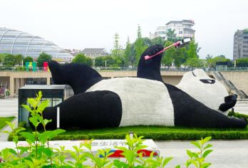 熊猫谷+都江堰+青城山包车一日游【2-8人独立用车上门接送】【[品质承诺]成都三环内任何地方或者酒店都可以免费上门接送.精品私家小团。】