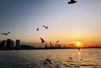 【大连市内8大景点休闲游 行程自由】【[品质保证]专注高品体验、放心的品质、专业的服务】