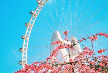 南头古城+世界之窗+欢乐港湾+宝安西湾红树林+梅拉尼亚一日游【一天玩遍深圳经典景区，网红打卡地，纯玩无购物，一对一旅游管家服务】