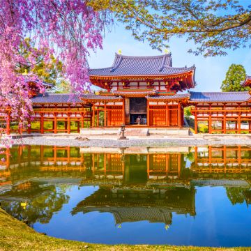 大阪出发【懒人专线】奈良小鹿互动+品尝宇治抹茶+可体验温泉