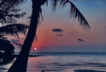 越南香岛公园跨海缆车+日落小镇+护国寺一日游【中文包车】【越南富国岛南岛包车线路，可定制行程，中文包车】