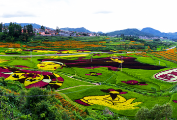 云南腾冲司莫拉佤族村+大地茶海露营地一日游【民族风情，地质奇观[五百年佤寨，古树茶海，BULAIEN美式咖啡一杯，儿童免费]】