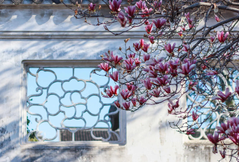 网师园+沧浪亭+耦园+西园寺+游船观光【姑苏水乡一日游】【全程私人专车服务，不拼团，行程灵活可调整。】