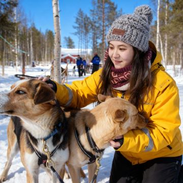 基律纳：狗拉雪橇（上午场/下午场/傍晚场）