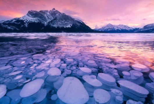 加拿大班夫亚伯拉罕冰泡湖+圣瓦普塔瀑布+弓河【英文团】【冬季的佩托湖展现其标志性的狼头形状，是一座被壮丽山峰环绕的冰川湖，景致独特。】