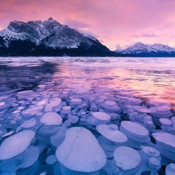 加拿大班夫亚伯拉罕冰泡湖+圣瓦普塔瀑布+弓河【英文团】