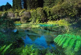 新西兰奥克兰出发蓝泉+胡卡瀑布+地热公园+陶波湖一日游不含票【中文专车包车服务，可上门接送】