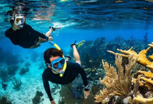 巴厘岛Menjangan鹿岛一日游【鹿岛浮潜深潜追海豚日出】【鹿岛是巴厘岛小众的潜水圣地,位于巴厘岛北部,拥有醉美日落和沙滩】