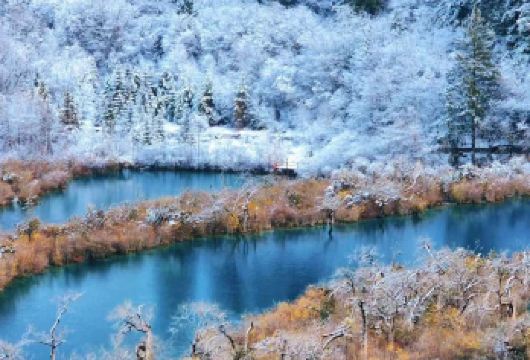 九寨沟包车接送一日游【时间自由|行程可调|高铁站接|纯玩团】【可选英文导游|专车接送|行程可调|可定制行程】