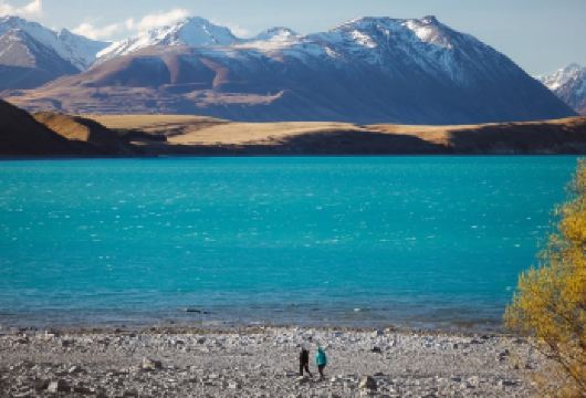 新西兰皇后镇经库克山、特卡波湖至特卡波之旅【单向行程含接送】【单向行程，皇后镇出发，途经奥拉基 / 库克山，抵达特卡波，一天内轻松串联南岛核心路线】