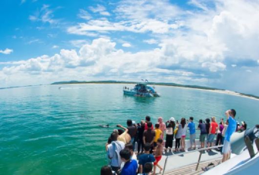悉尼史蒂芬一日游-门票小费全含-观野生海豚+滑沙+考拉保护区【游船观野生海豚-徜徉于蓝水天堂的纯净海洋，与跃出水面的海豚打招呼】