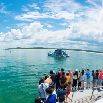 悉尼史蒂芬一日游-门票小费全含-观野生海豚+滑沙+考拉保护区