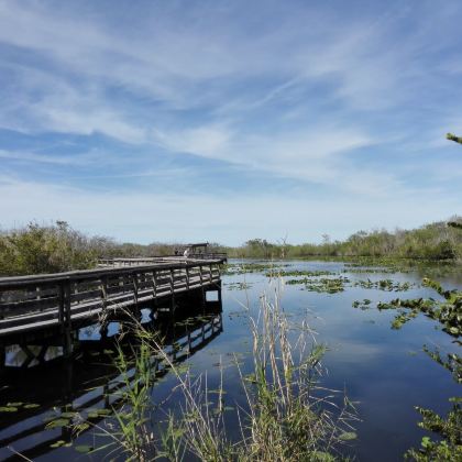 美国迈阿密+大沼泽地国家公园一日游【中文包车上门接】