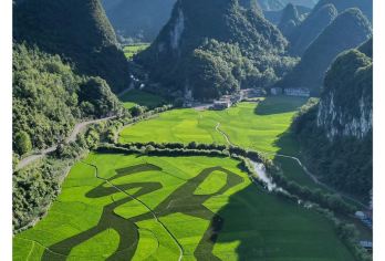 贵州黄果树景区+龙宫景区一日游【包车游+专车出行+上门接送】【一单一团，独立包车，纯玩随心游】