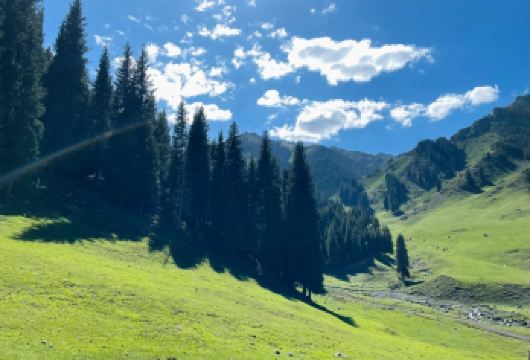 天山天池+天山大峡谷一日游【上门接送/纯玩无购物】【1，达人带队，精选线路，深度体验，创新玩法，贴心管家，摄影帮手，路上美景随走随停！】